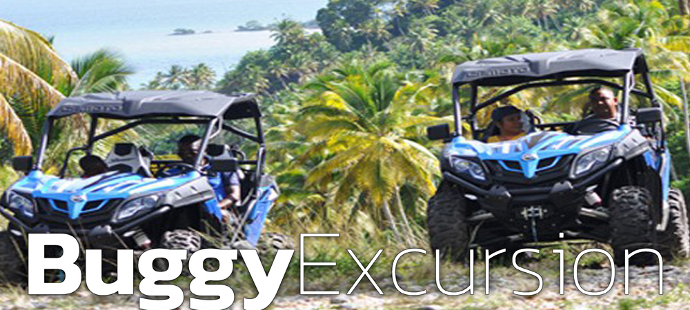 Punta Cana Buggy Excursion to Explore Dominican Republic.