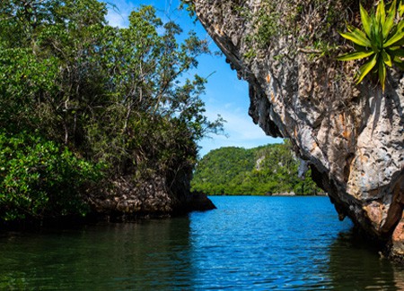 Los Haitises National Park Tour from Punta Cana.